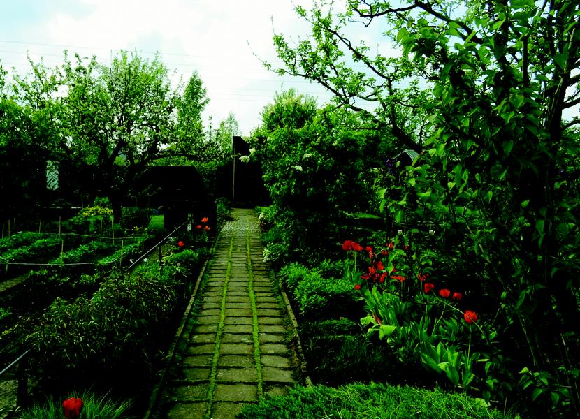 Garten 119