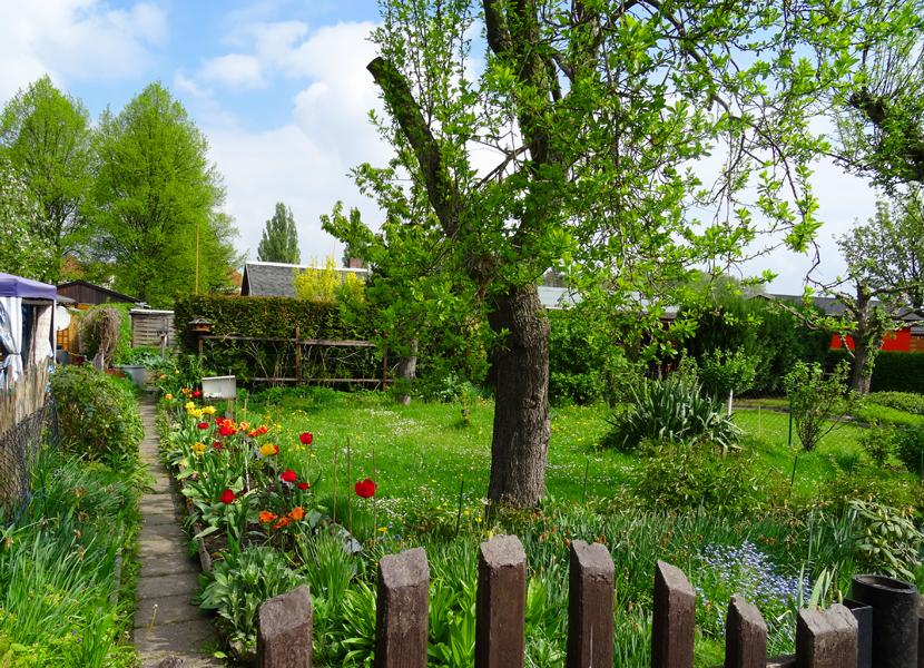 Garten 98